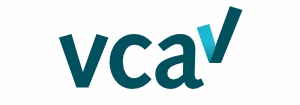 TEERENSTRA_VCA
